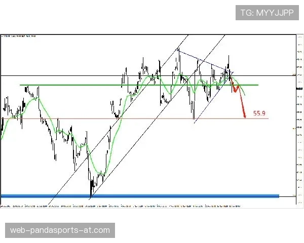 维蒂尼亚与京多安控场能力对比：技术风格与节奏控制差异分析