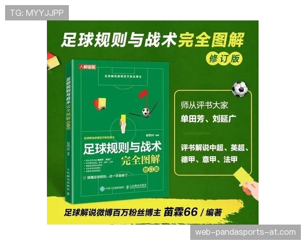 比赛暂停的足球规则详解及裁判判罚标准解析
